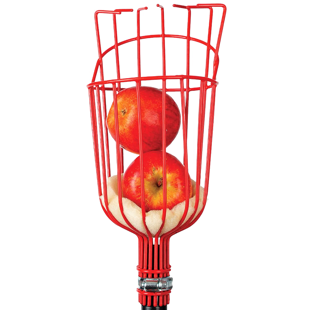 Red metal replacement head designed for fruit harvesting, holding two apples securely, compatible with garden accessories and farm tools collections.