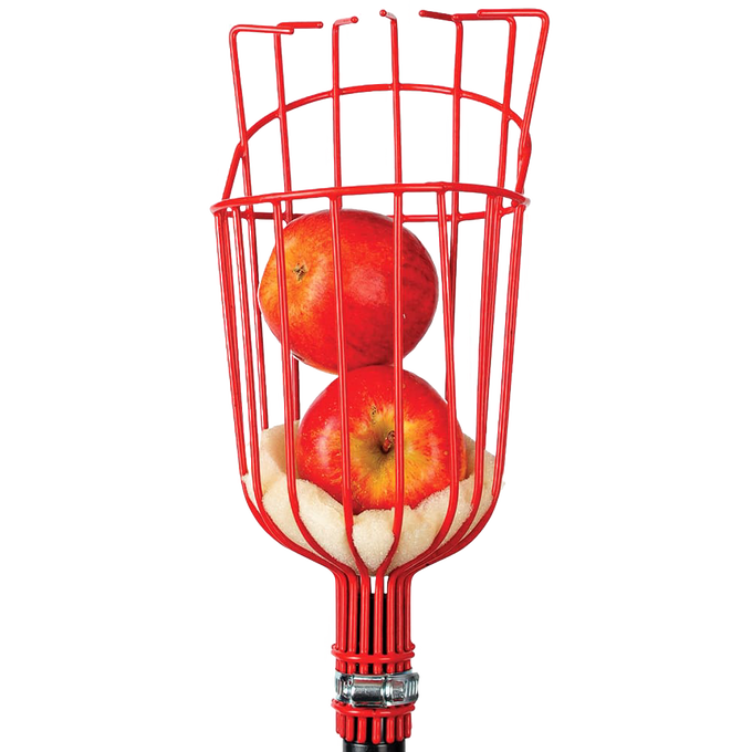 Red metal replacement head designed for fruit harvesting, holding two apples securely, compatible with garden accessories and farm tools collections.