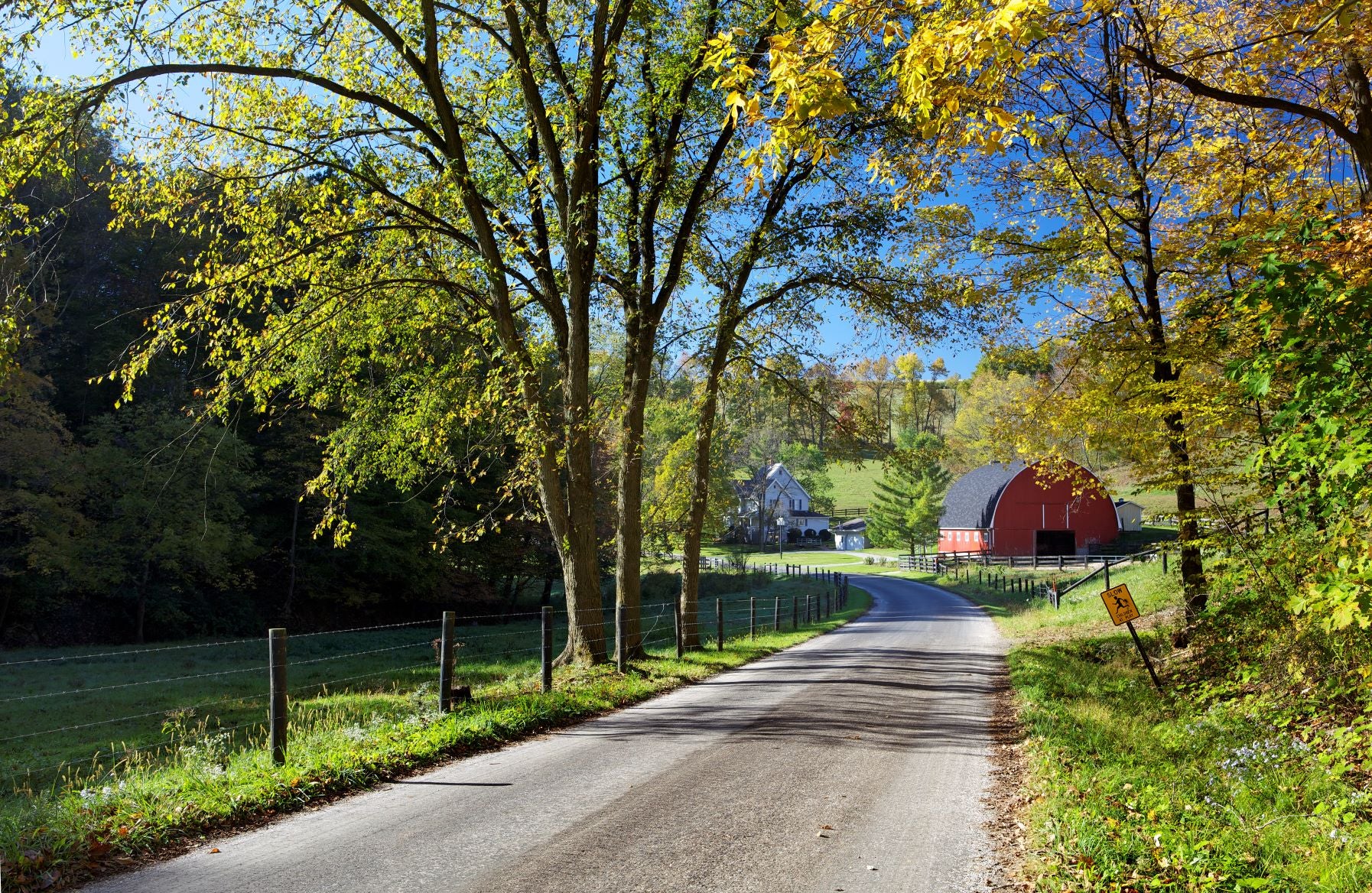 Fall in Amish Country
