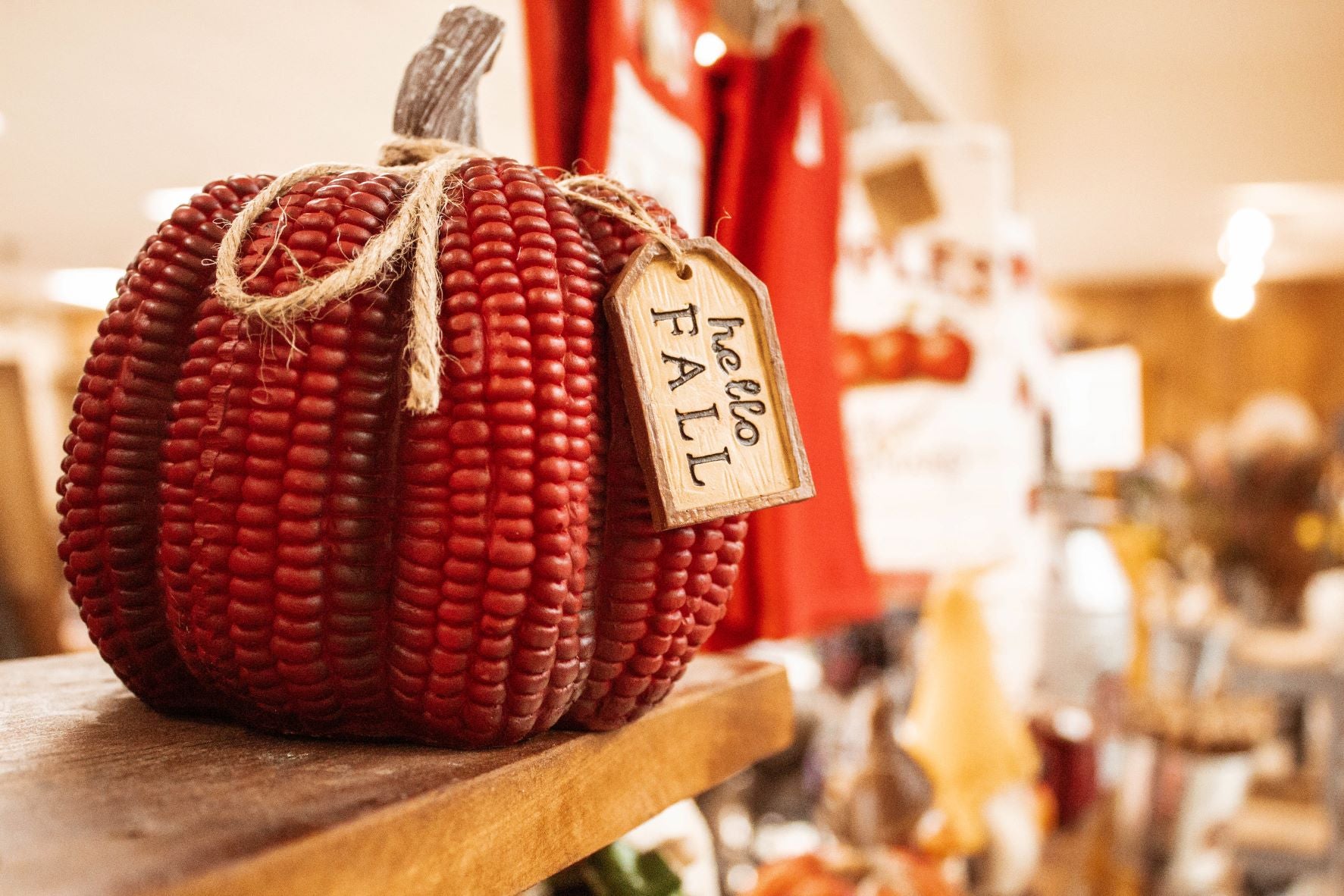 fall pumpkin