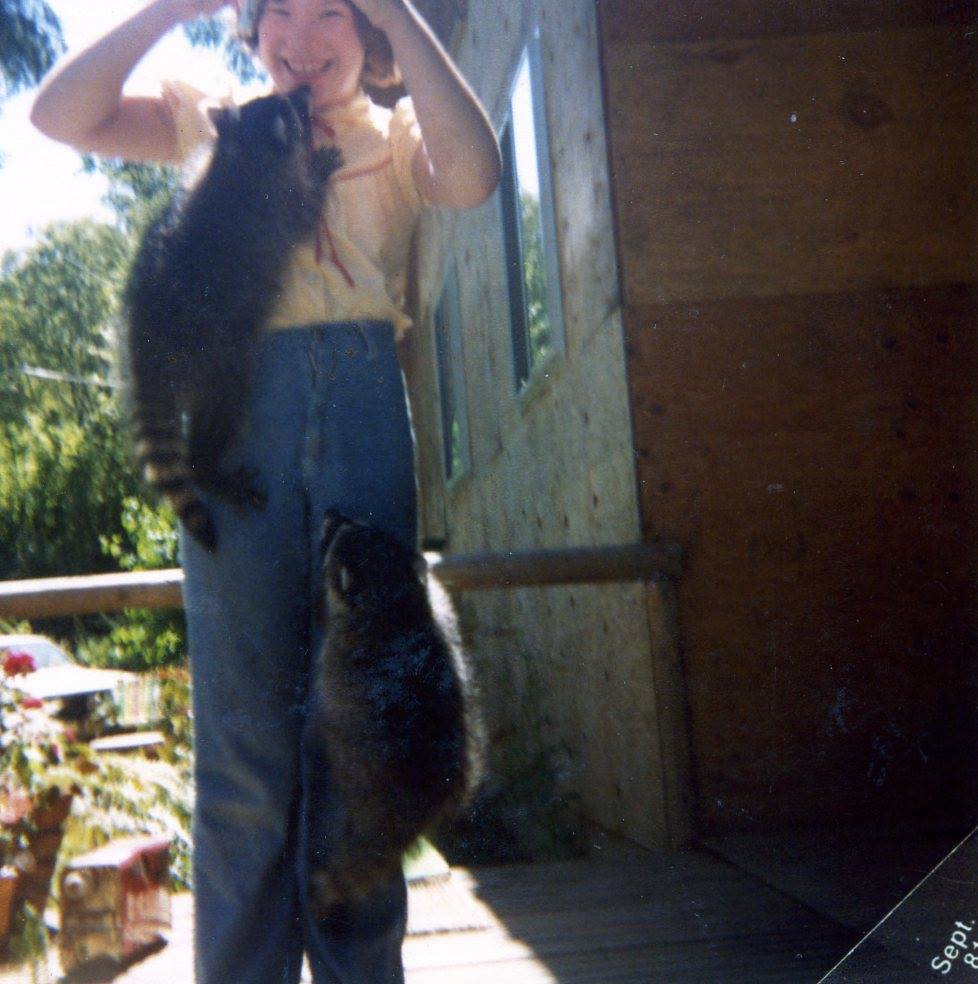 Feeding raccoons grapes while living off-grid
