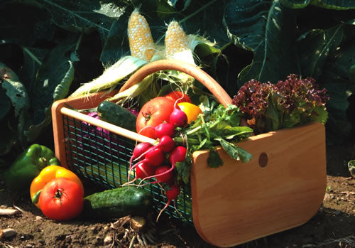 Maine Garden Hod