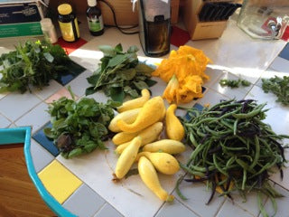 Beans, squash, from the garden.