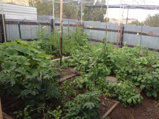 Shaded, big garden