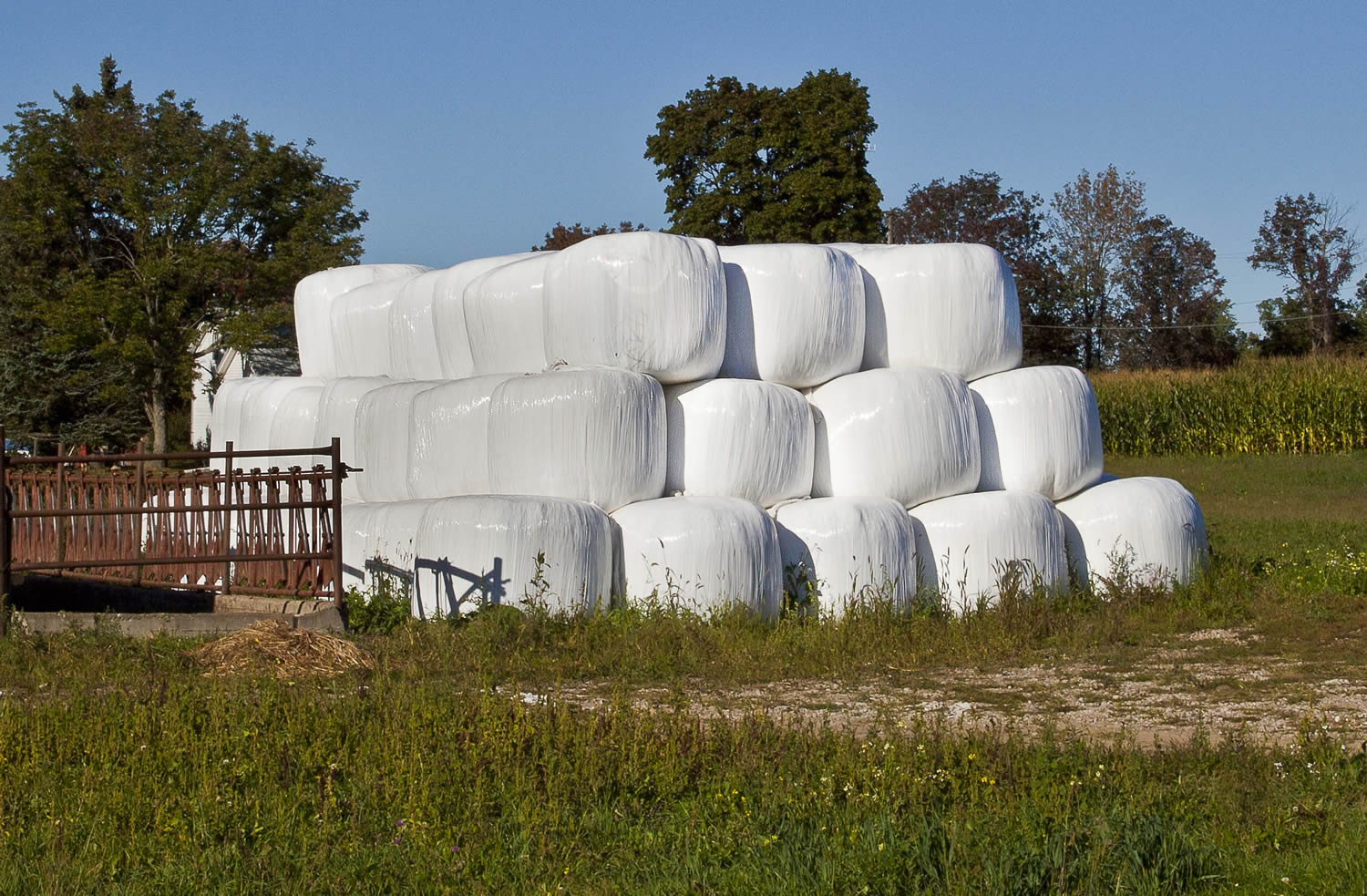 Bales of Hay