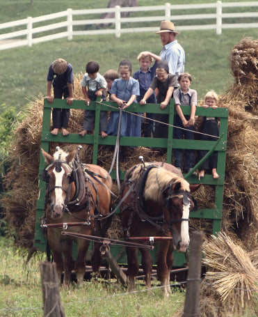 The Amish have a fairly limited pool of both first and last names, so they come up with interesting nicknames to differentiate the many John Millers, Anna Yoders and Eli Hershbergers.