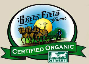 GFF logo