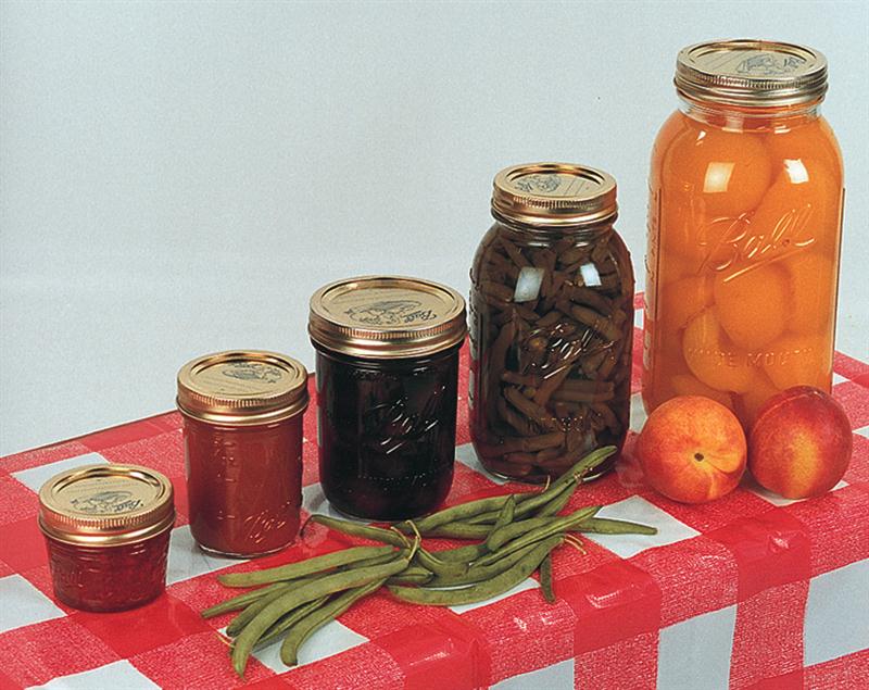 Split your SCOBY and kombacha in half, and store in two half-gallon jars from Lehmans.com.