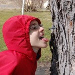 Lisa's son drinking sap Getting sap right from the source!