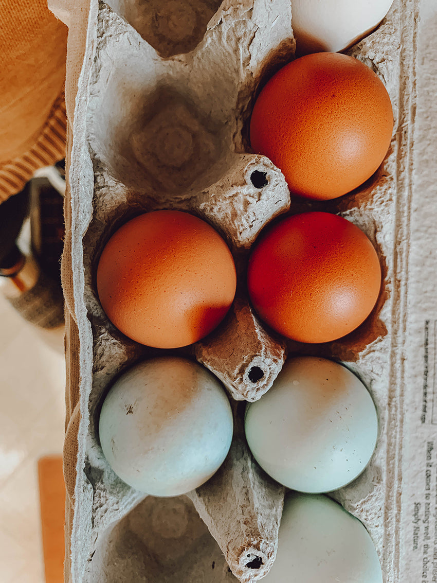 fresh eggs from backyard chickens
