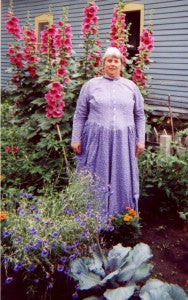 hollyhocks