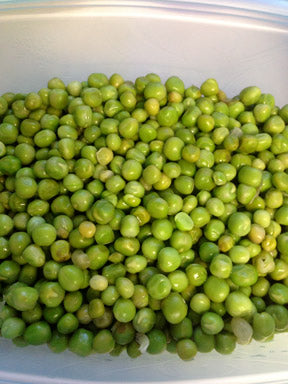 Pour cooled peas into freezer box. When box is full, snap on lid and pop into freezer. It's that easy!