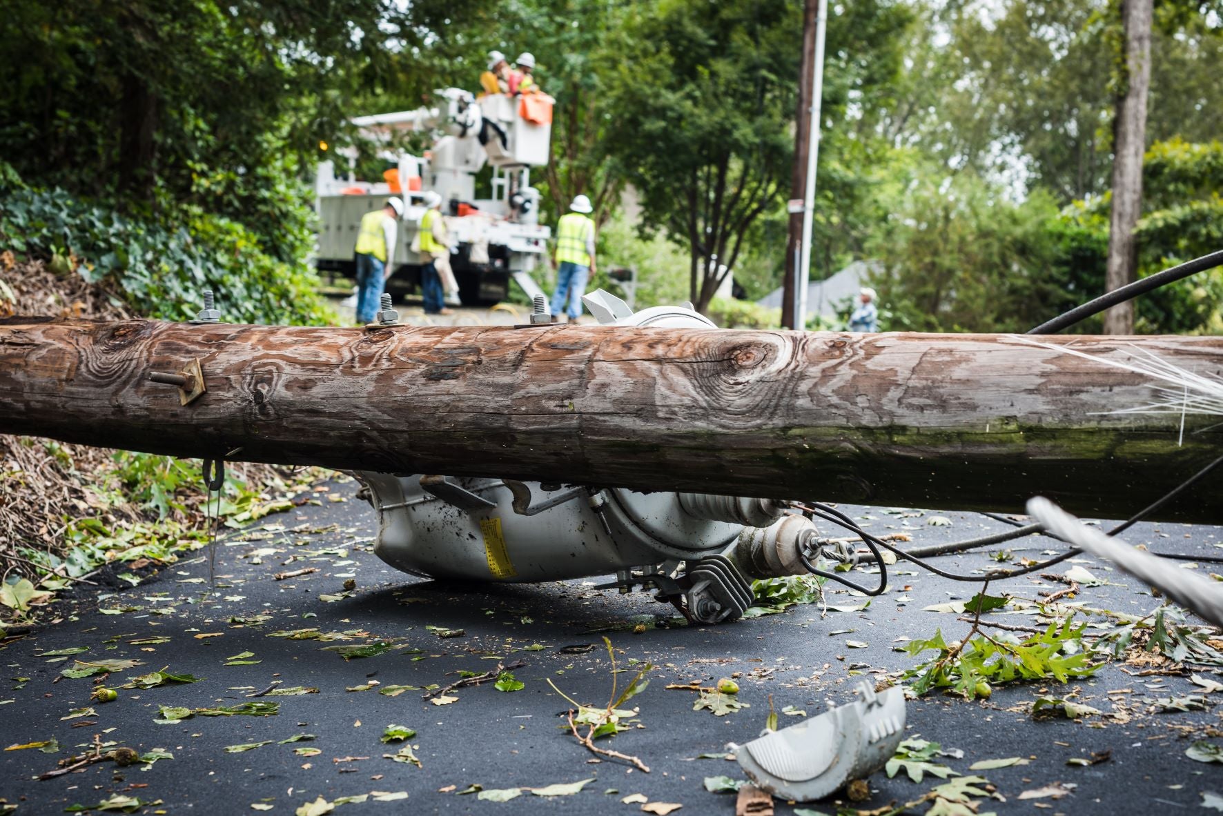 power line down