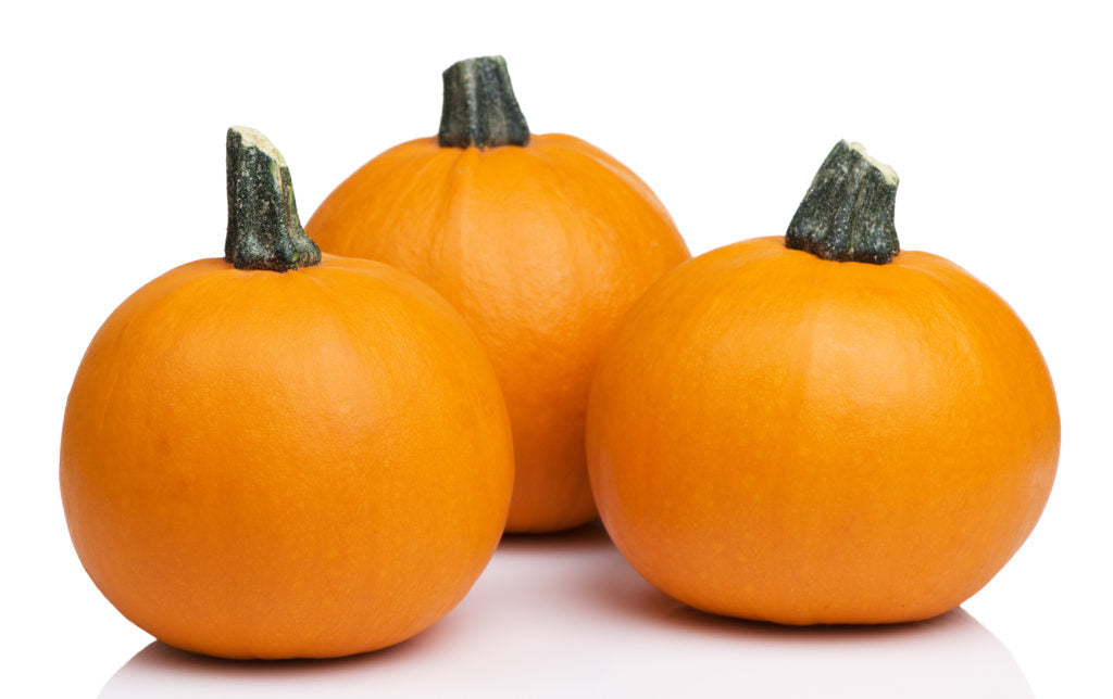 pie-pumpkins