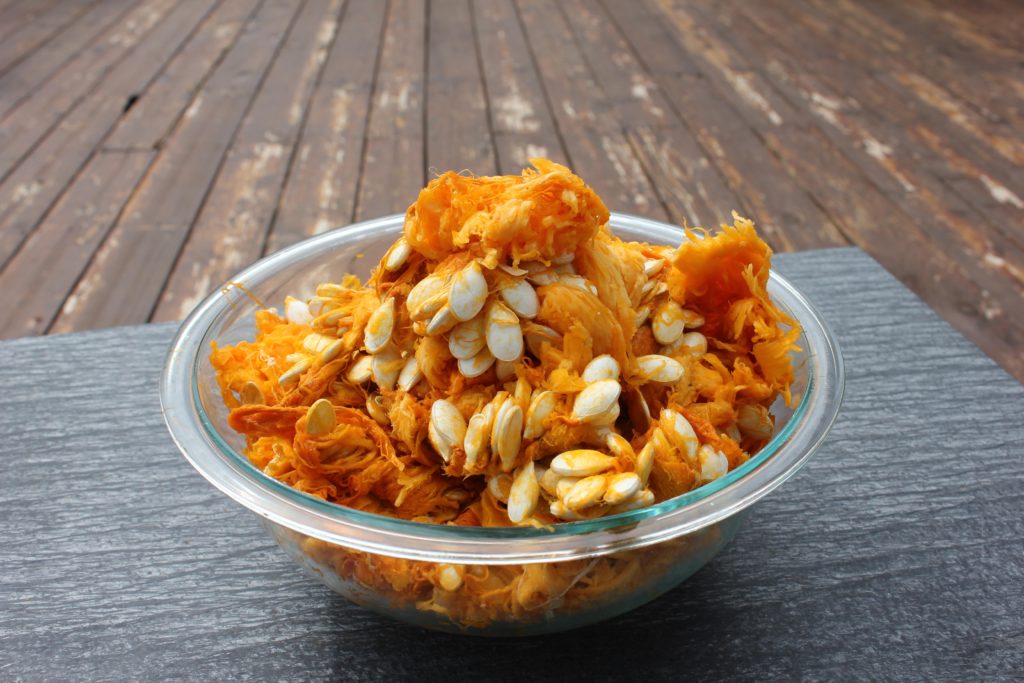 squash in bowl