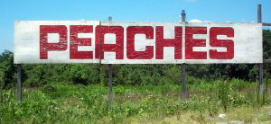 Peaches sign