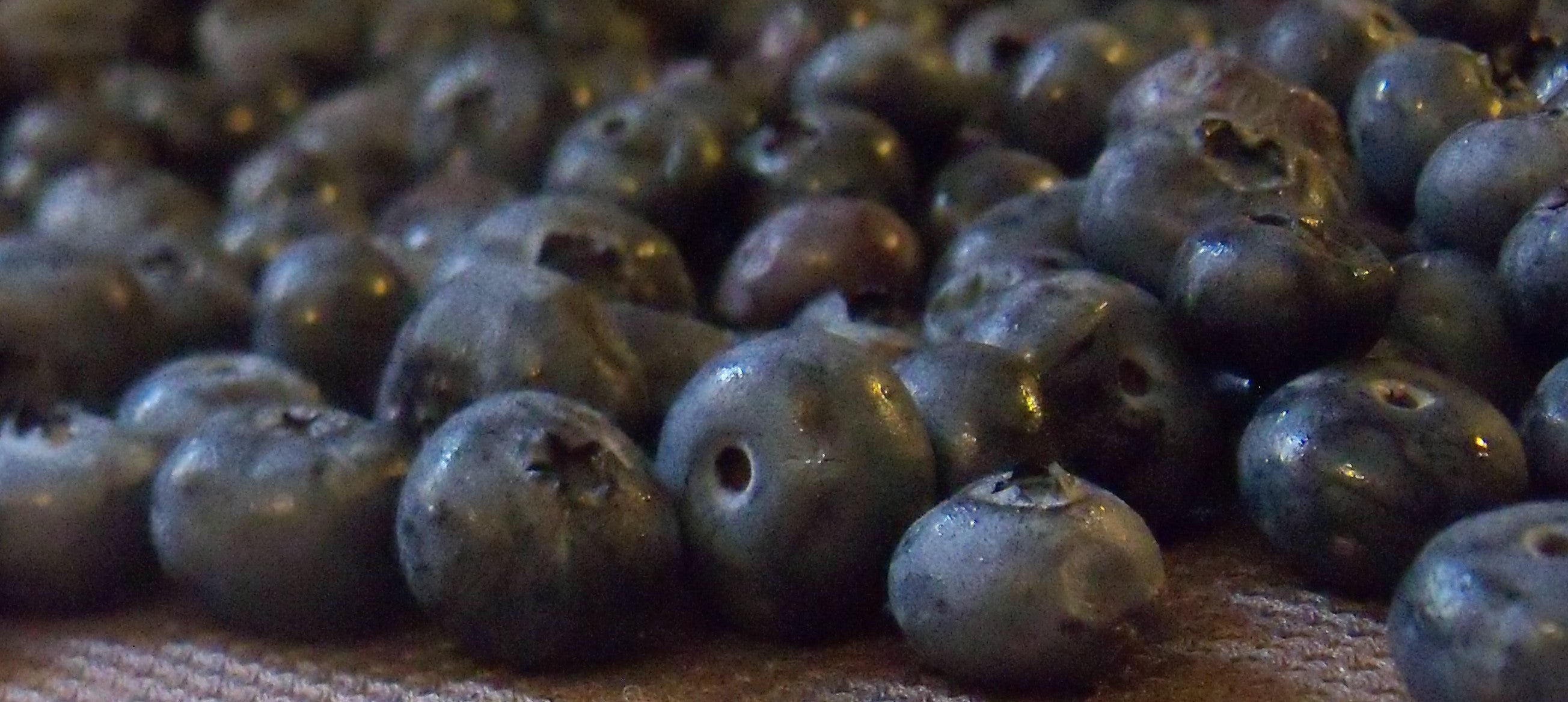 fresh blueberries