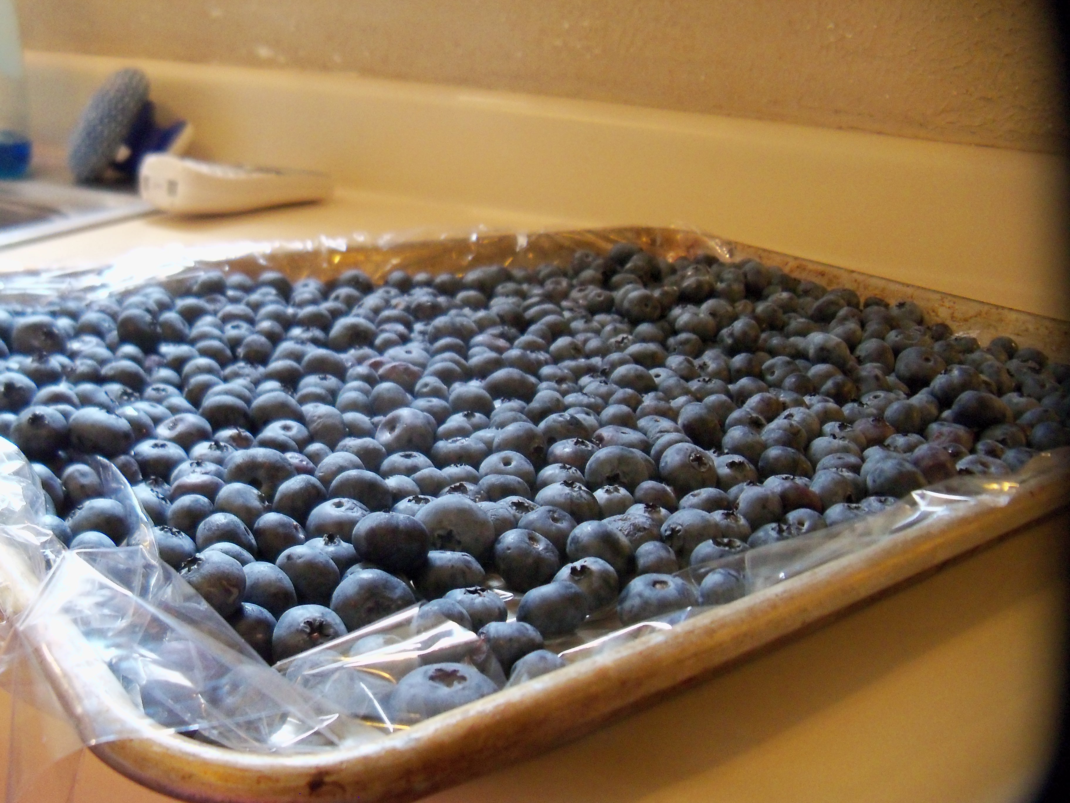 Berries on cookie sheet