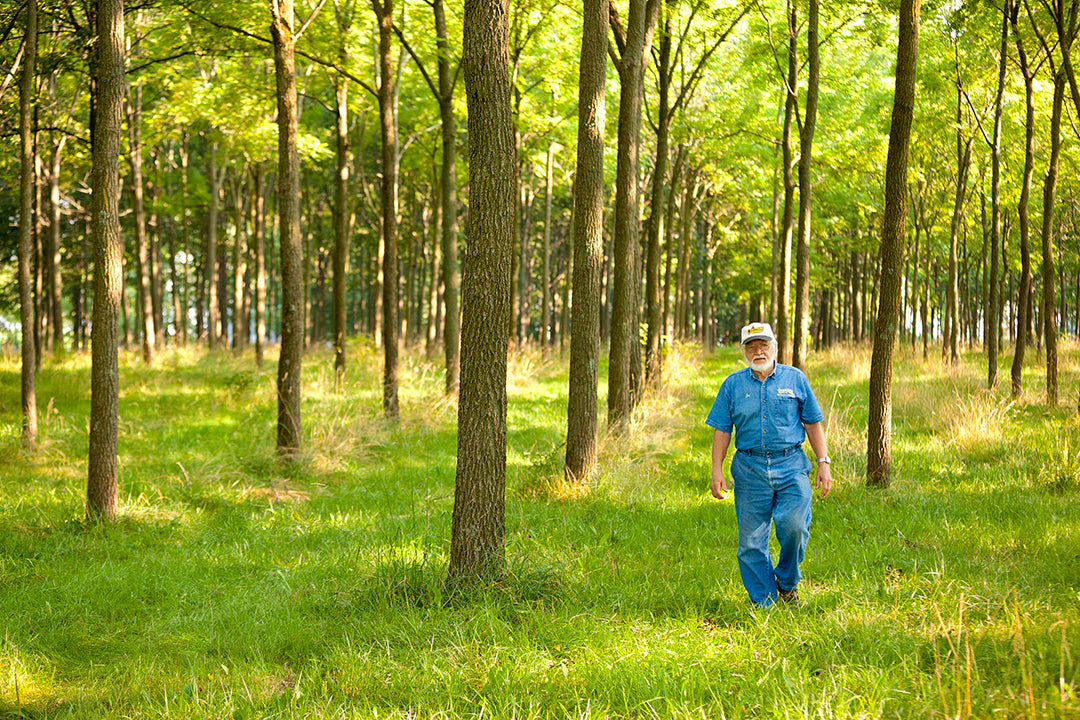 Jay with his trees
