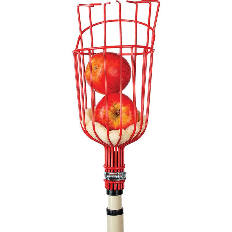 Pull down the highest apples, peaches or pears from the safety of the ground.