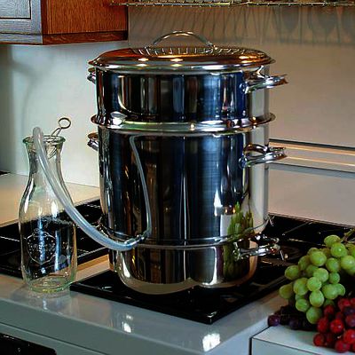 steam juicer 10105