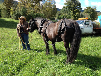 Jenna and Merlin, getting ready to work--in warmer times!