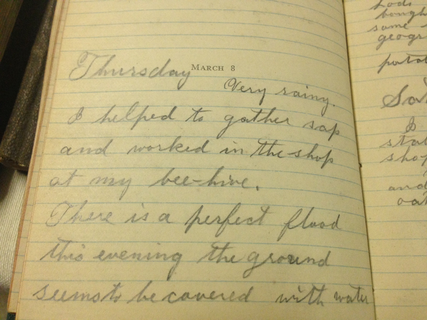 journal entry about beehives