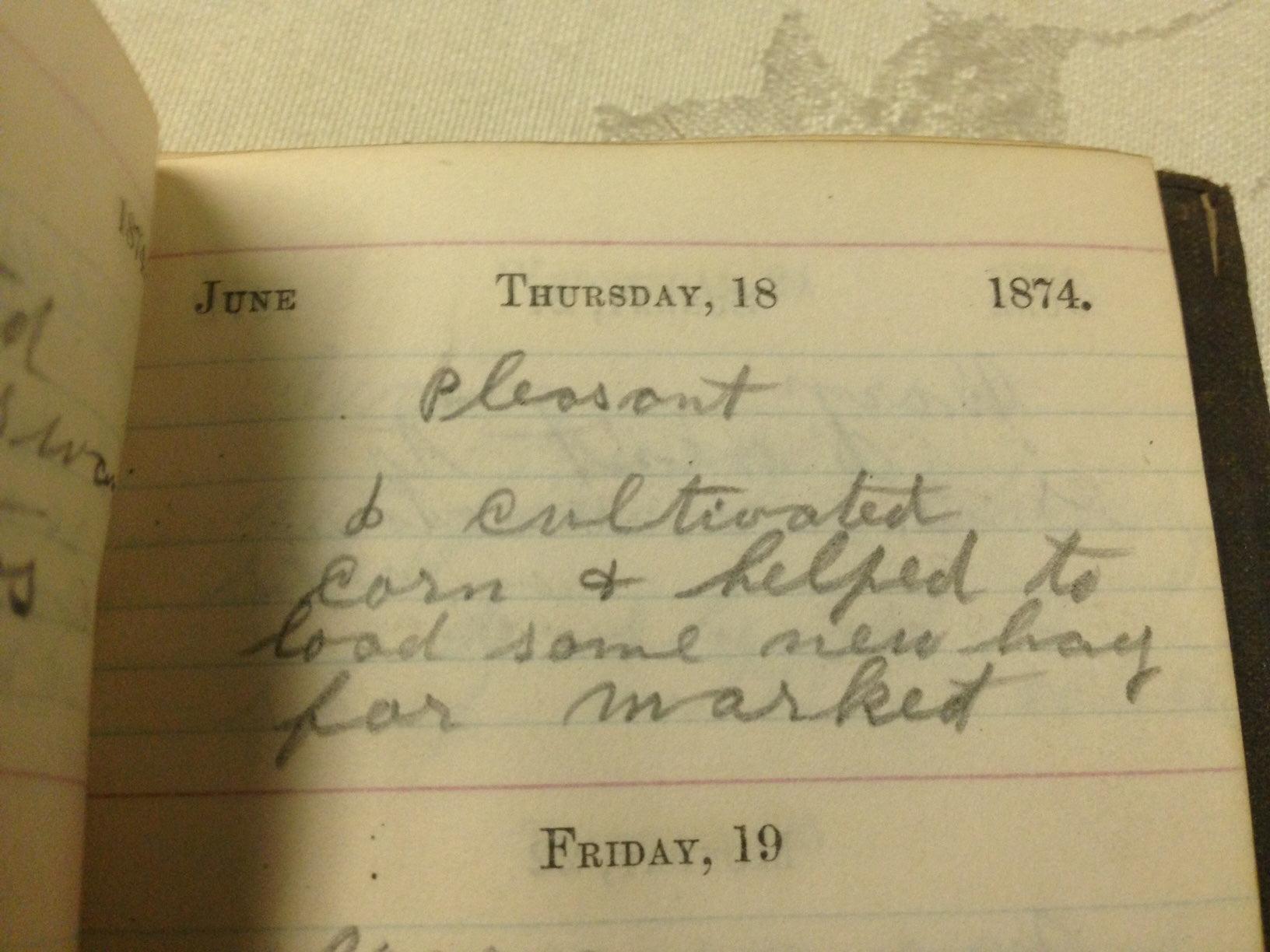 diary entry about cultivating corn