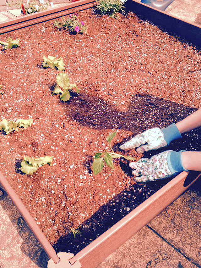 alli-gardening