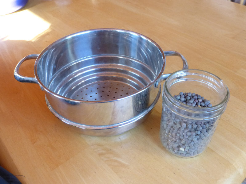 pea sprouts jar and pot