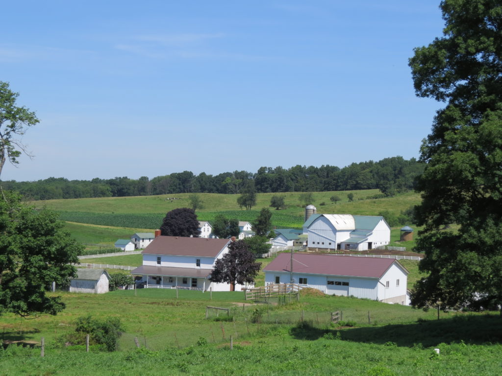 The view from Atlee and Mary's home. Imagine this out your workshop window!