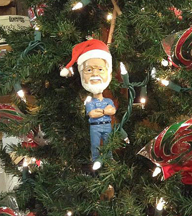 santa-jay-in-tree
