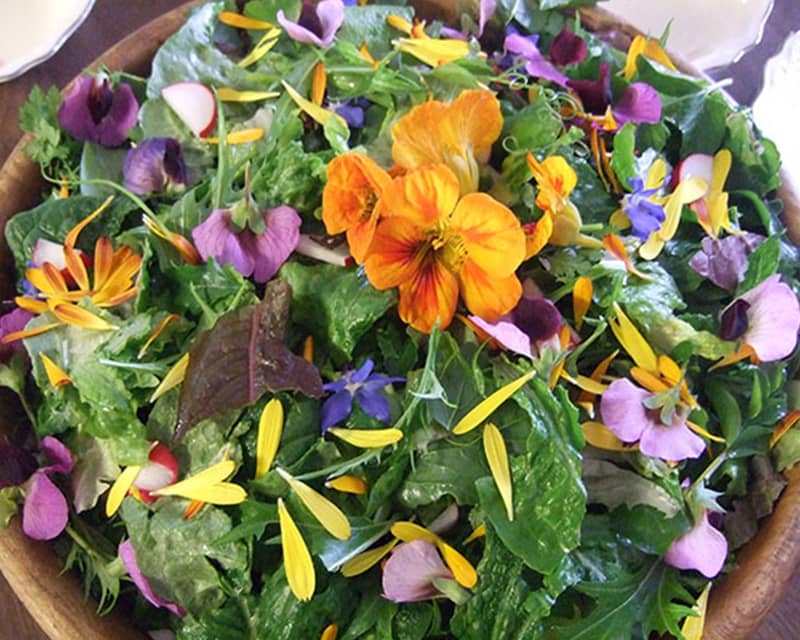 A QUICK GUIDE TO EDIBLE FLOWERS