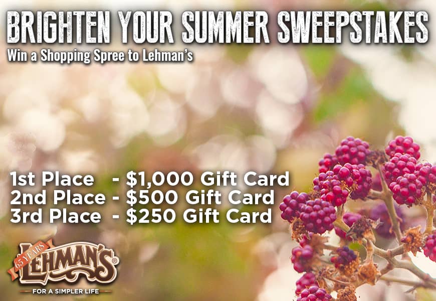 Brighter Summer Sweepstakes 2020