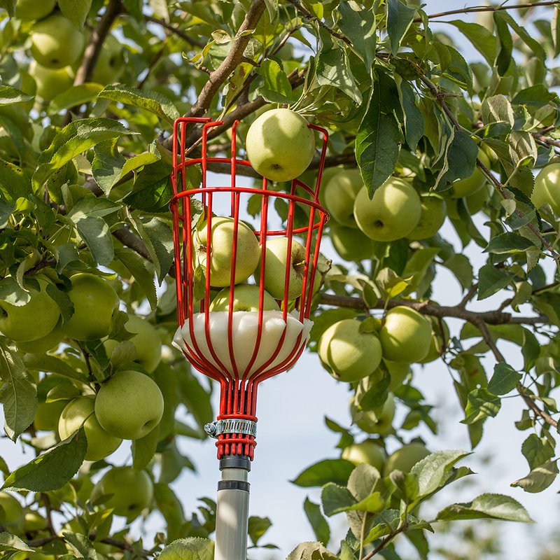 Fruit Picker Head Basket Apple Orange Picking Harvester Gardening Tool Supplies 