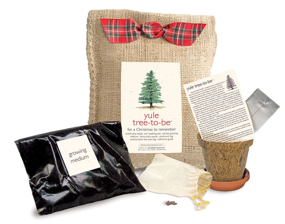 Yule Tree-To-Be Planting Kit  - $25.00 - SHOP NOW